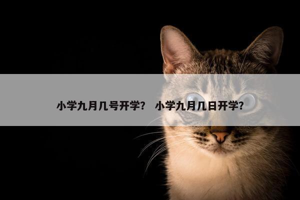 小学九月几号开学？ 小学九月几日开学？