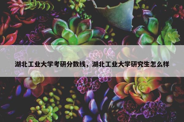 湖北工业大学考研分数线，湖北工业大学研究生怎么样