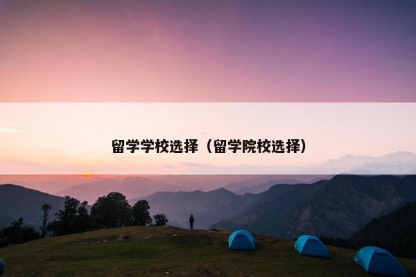 留学学校选择（留学院校选择）