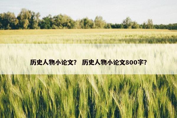 历史人物小论文？ 历史人物小论文800字？