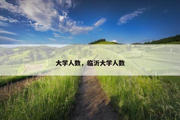 大学人数，临沂大学人数