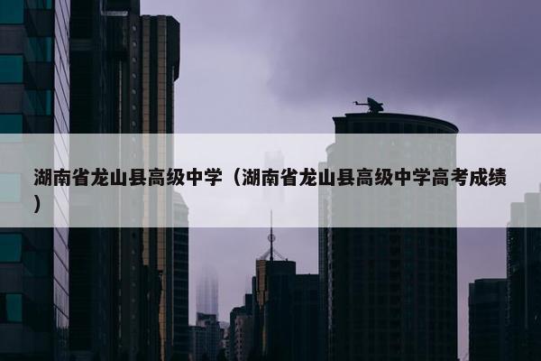 湖南省龙山县高级中学（湖南省龙山县高级中学高考成绩）