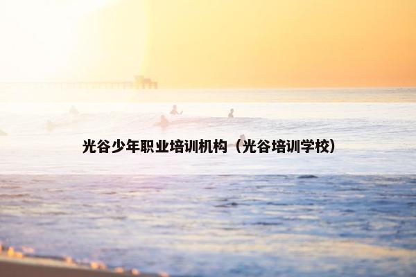光谷少年职业培训机构（光谷培训学校）