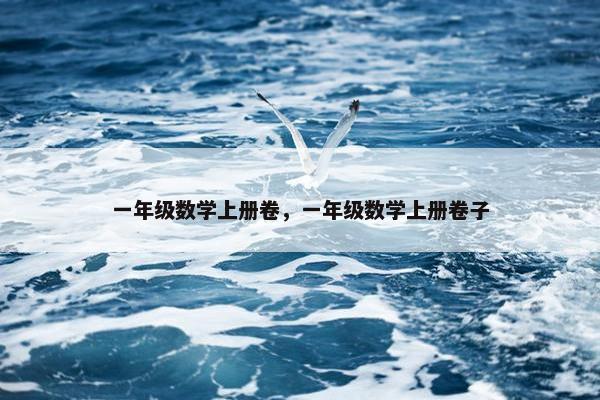 一年级数学上册卷，一年级数学上册卷子
