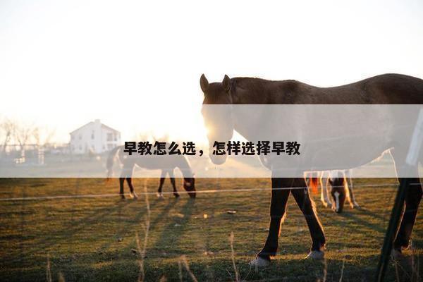 早教怎么选，怎样选择早教