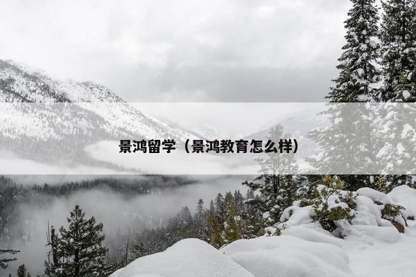 景鸿留学（景鸿教育怎么样）