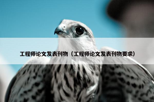 工程师论文发表刊物（工程师论文发表刊物要求）