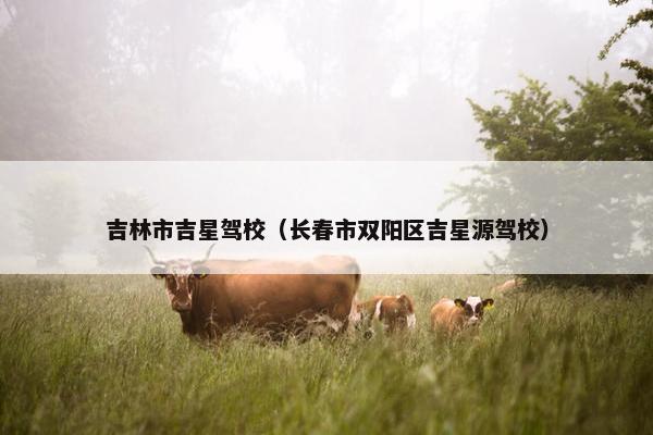 吉林市吉星驾校（长春市双阳区吉星源驾校）