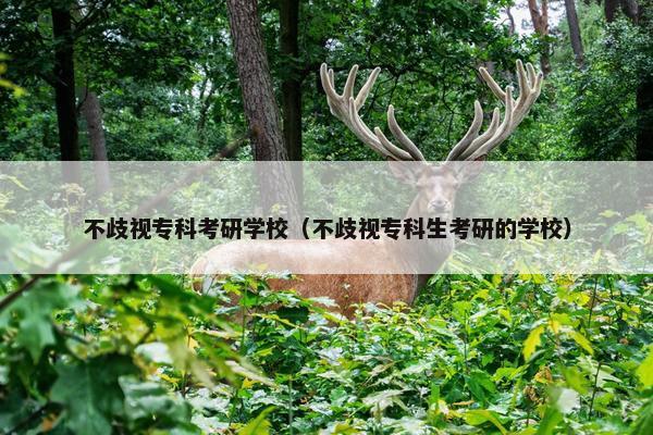 不歧视专科考研学校（不歧视专科生考研的学校）