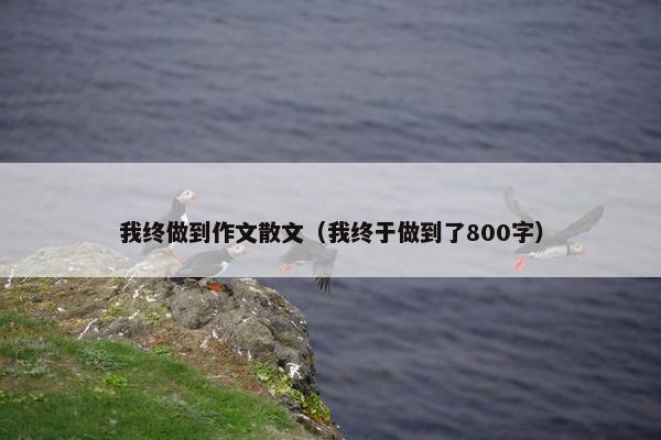 我终做到作文散文（我终于做到了800字）