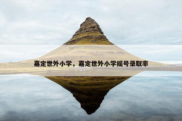 嘉定世外小学，嘉定世外小学摇号录取率