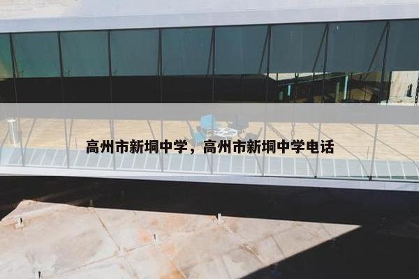 高州市新垌中学，高州市新垌中学电话