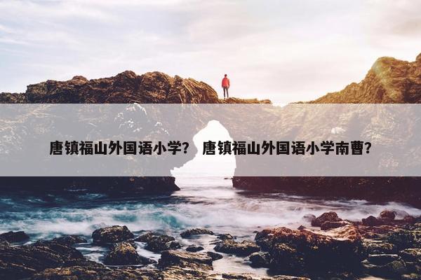 唐镇福山外国语小学？ 唐镇福山外国语小学南曹？