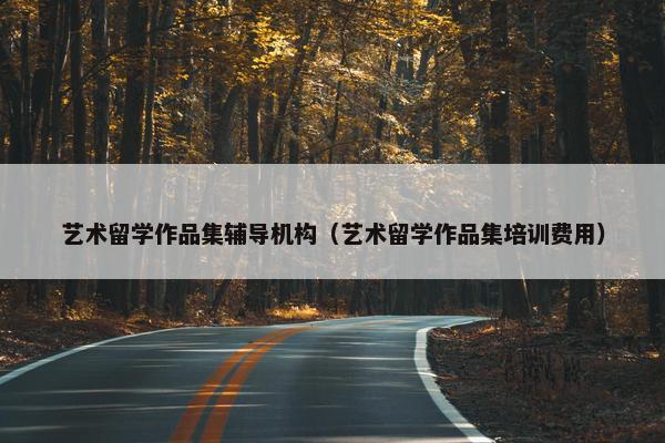 艺术留学作品集辅导机构（艺术留学作品集培训费用）