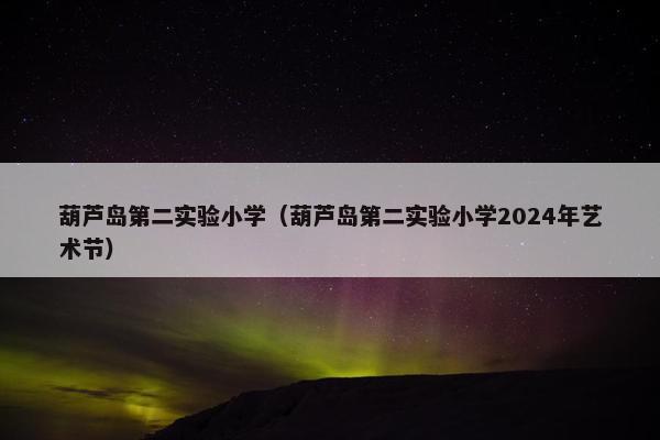 葫芦岛第二实验小学（葫芦岛第二实验小学2024年艺术节）