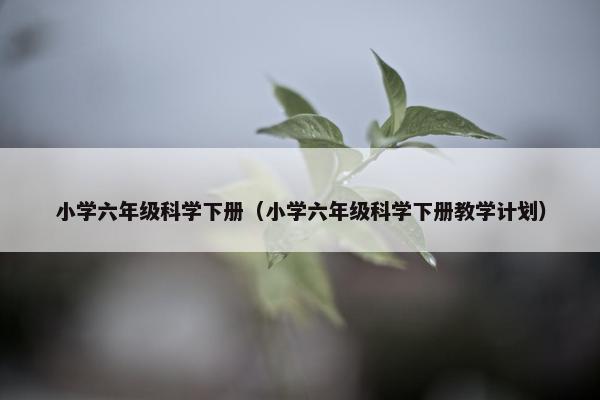 小学六年级科学下册（小学六年级科学下册教学计划）