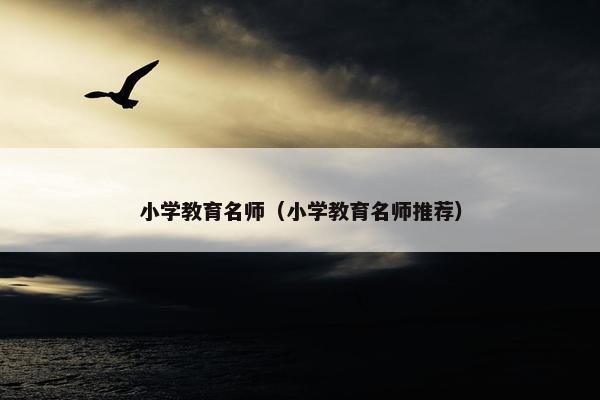 小学教育名师（小学教育名师推荐）