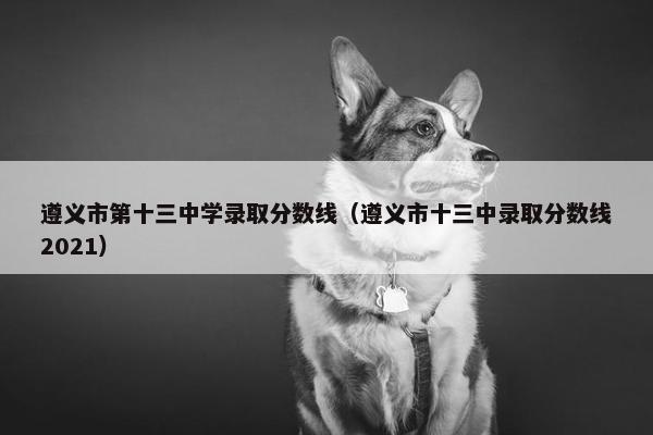 遵义市第十三中学录取分数线（遵义市十三中录取分数线2021）