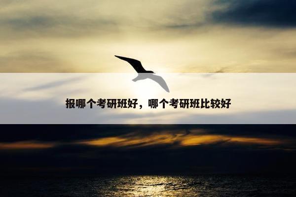 报哪个考研班好，哪个考研班比较好
