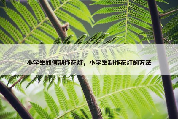 小学生如何制作花灯，小学生制作花灯的方法