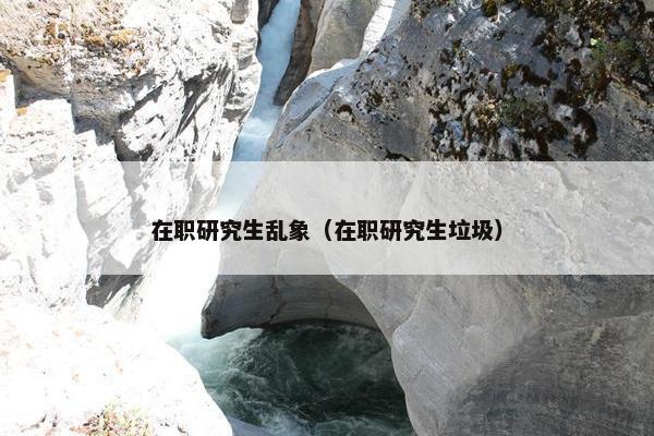 在职研究生乱象（在职研究生垃圾）