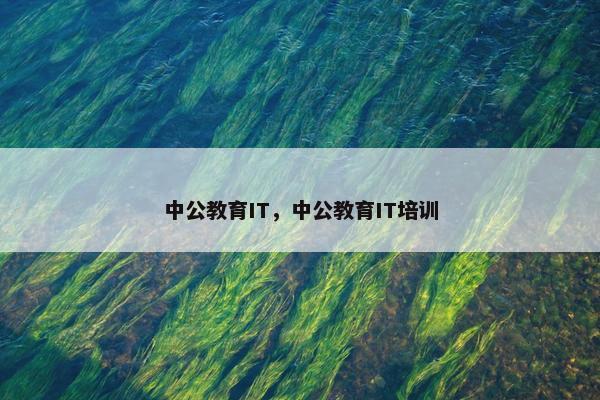 中公教育IT，中公教育IT培训