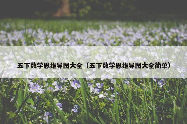 五下数学思维导图大全（五下数学思维导图大全简单）