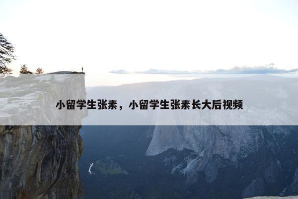 小留学生张素，小留学生张素长大后视频