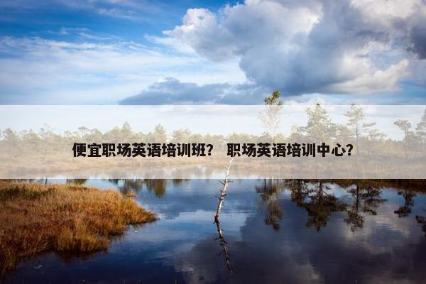 便宜职场英语培训班？ 职场英语培训中心？