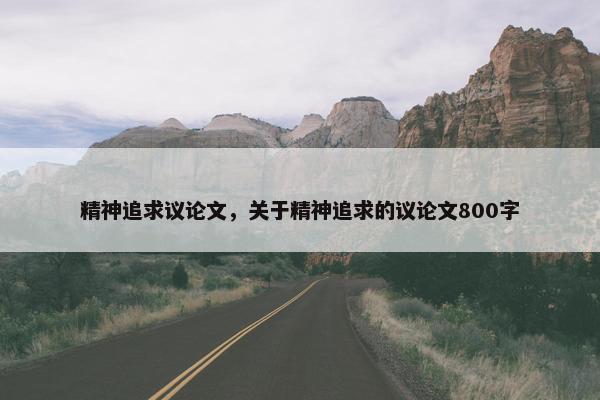 精神追求议论文，关于精神追求的议论文800字