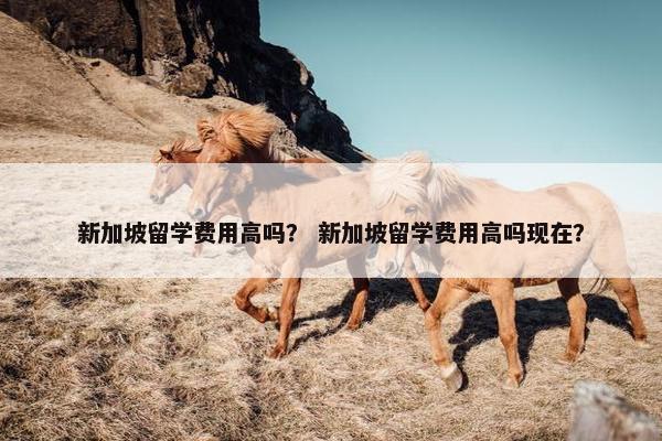 新加坡留学费用高吗？ 新加坡留学费用高吗现在？