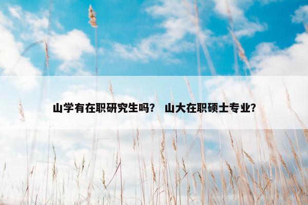 山学有在职研究生吗？ 山大在职硕士专业？