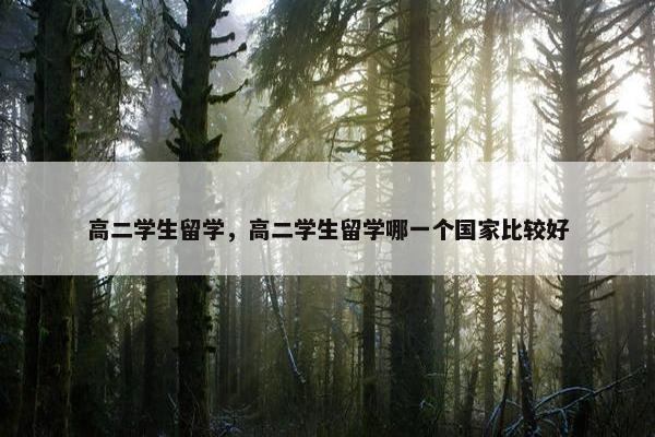 高二学生留学，高二学生留学哪一个国家比较好