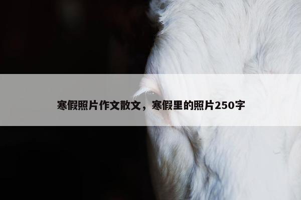 寒假照片作文散文，寒假里的照片250字