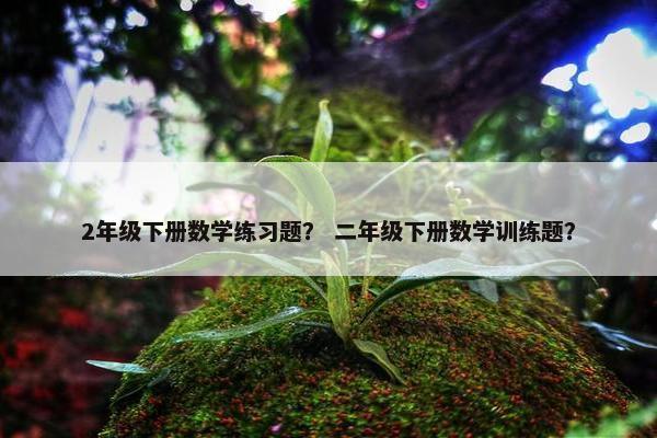 2年级下册数学练习题？ 二年级下册数学训练题？