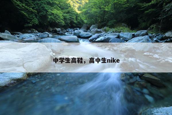 中学生高鞋，高中生nike