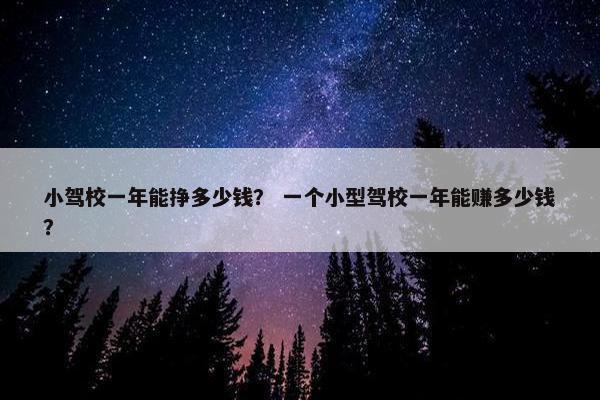 小驾校一年能挣多少钱？ 一个小型驾校一年能赚多少钱？