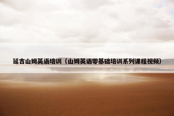 延吉山姆英语培训（山姆英语零基础培训系列课程视频）