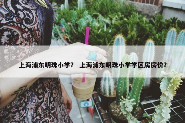上海浦东明珠小学？ 上海浦东明珠小学学区房房价？