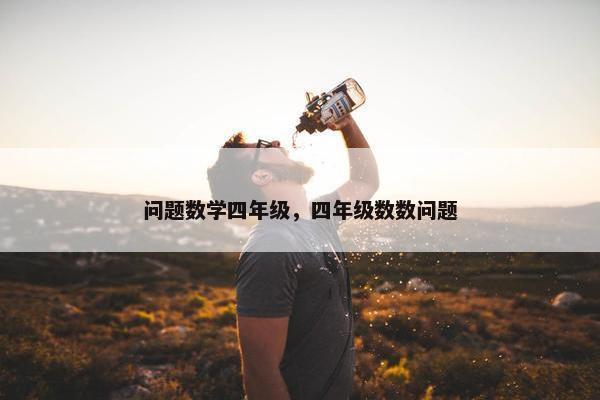 问题数学四年级，四年级数数问题
