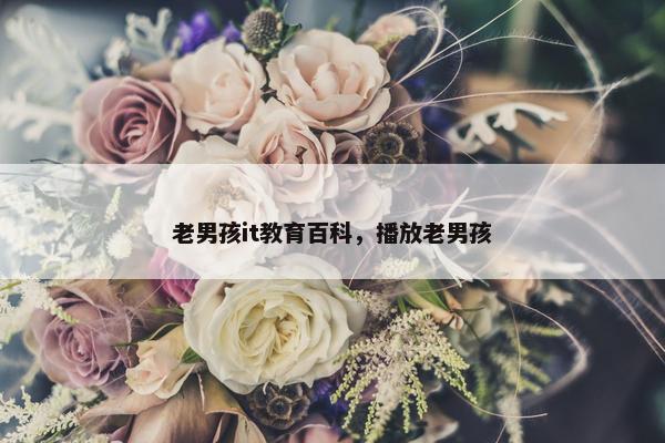 老男孩it教育百科，播放老男孩