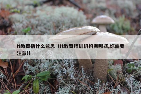it教育指什么意思（it教育培训机构有哪些,你需要注意!）