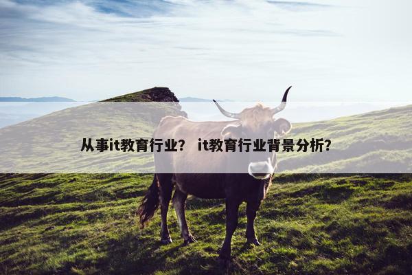 从事it教育行业？ it教育行业背景分析？