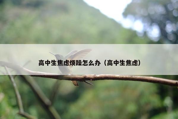 高中生焦虑烦躁怎么办（高中生焦虑）