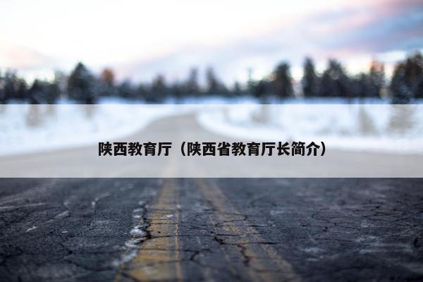 陕西教育厅（陕西省教育厅长简介）