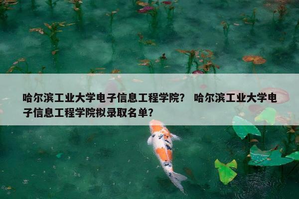 哈尔滨工业大学电子信息工程学院？ 哈尔滨工业大学电子信息工程学院拟录取名单？