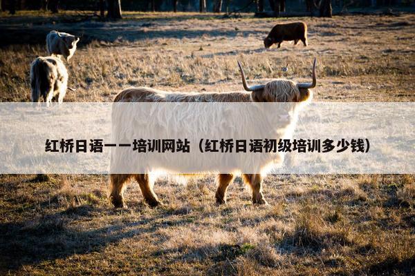 红桥日语一一培训网站（红桥日语初级培训多少钱）