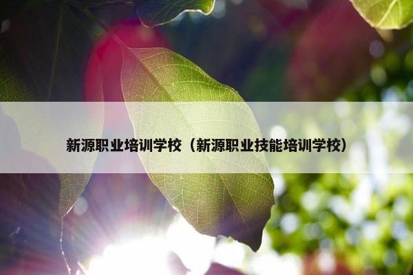 新源职业培训学校（新源职业技能培训学校）