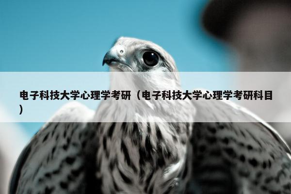 电子科技大学心理学考研（电子科技大学心理学考研科目）