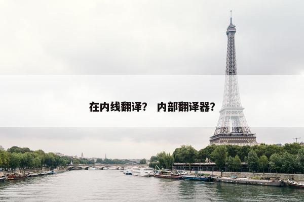 在内线翻译？ 内部翻译器？